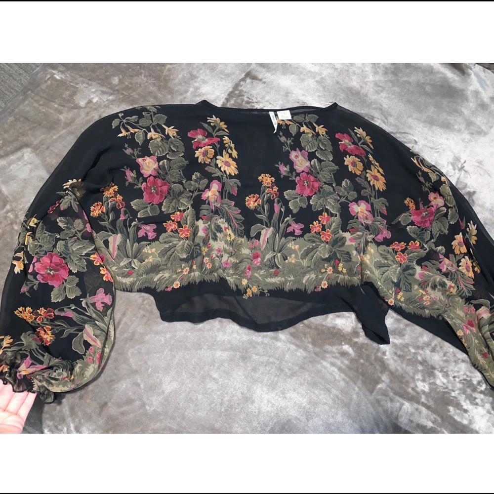 Petticoat Alley sheer crop long sleeve